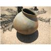 Image 1 : San Diego Olla