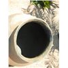 Image 2 : San Diego Olla