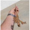 Image 1 : Wood Arrow