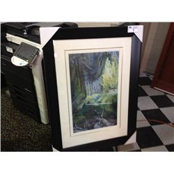 LIMITED EDITION PRINT 71/175