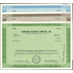 The Hawaiian Electric Company Group