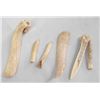 Image 2 : Prehistoric Animal Bone Tools