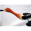 Image 3 : Carved Wood and Painted Avocet Bird Statue