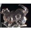Image 1 : Schnapshund