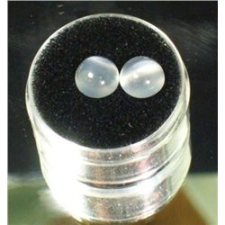 Pair Round Polished Moonstone Cabochons