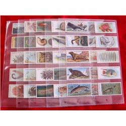 1928 Complete Set Wills Cigarettes Tobacco Cards