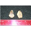 Image 2 : Dinosaur Teeth; Lot of 2
