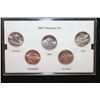 Image 1 : 2007-P US Mint State Quarter Proof Set; BU, Layered In Platinum