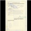 Image 2 : 1990s Peak Tech Stock Certificate Scarce (COI-3417)