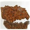 Image 1 : 295ct Crystalized Coprolite Dinosaur Doo Cluster (MIN-001144)