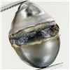 Image 2 : 15.96ct Freeform Tahitian Black Pearl (GEM-45689)