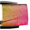 Image 1 : 10.77ct Wonderful Watermelon Bi Color Tourmaline (GEM-10267)