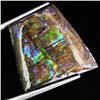 Image 1 : 11.70ct Rare Glowing Multi-color Ammolite Triplet (GEM-31990)