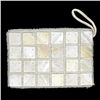 Image 1 : Handcrafted Mother of Pearl Evening Bag (ACT-369)