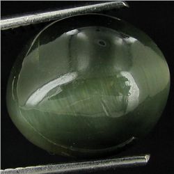 7.1ct Apatite Cat'S Eye Cabochon Oval (GEM-42911)