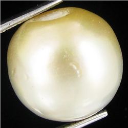 20.31ct Tahitian Baroque Pearl (GEM-45823)