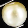 Image 1 : 20.31ct Tahitian Baroque Pearl (GEM-45823)