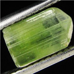 1.28ct Blue Green Cuprian Tourmaline Facet Rough  (GEM-24711A)