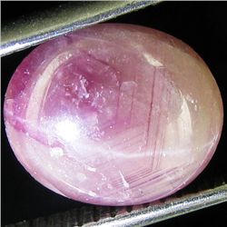 3.31ct Oval Pink Star Sapphire (GEM-44186)