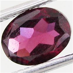 1.55ct Natural Purple Pink Rhodolite Garnet  (GEM-19659B)