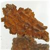 Image 1 : 220ct Crystalized Coprolite Dinosaur Doo Cluster (MIN-001130)