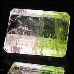 1.56ct Watermelon Tourmaline Appraised $553 (GEM-44384)