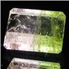Image 1 : 1.56ct Watermelon Tourmaline Appraised $553 (GEM-44384)