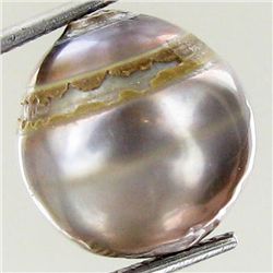 15.21ct Freeform Tahitian Black Pearl (GEM-45758)