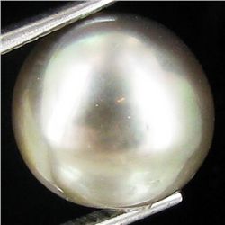 9.08ct Freeform Tahitian Black Pearl (GEM-45796)