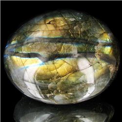 595ct Large Polished Rainbow Labradorite Cabochon (MIN-001669)