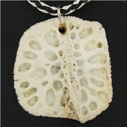 45twc Alligator Fossil Pendant Necklace (JEW-3045)