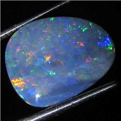 5.2ct Australian Black Opal Doublet Full Fire (GEM-36243)