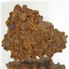 Image 1 : 275ct Crystalized Coprolite Dinosaur Doo Cluster (MIN-001135)
