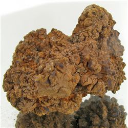 380ct Crystalized Coprolite Dinosaur Doo Cluster (MIN-001129)