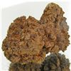 Image 1 : 380ct Crystalized Coprolite Dinosaur Doo Cluster (MIN-001129)