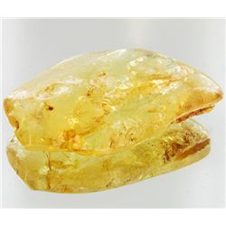 65ct Large Amber Chunk With Inclusions (MIN-001419)