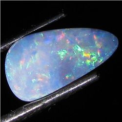 1.67ct Australian Black Opal Doublet Full Fire (GEM-35849)