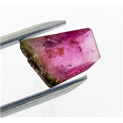 2.33ct Rare Bi-Color Tourmaline  (GEM-26673)