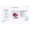 Image 2 : 1.85ct Pink Tourmaline Appraised $585 (GEM-44346)