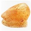 Image 1 : 65ct Large Amber Chunk With Inclusions (MIN-001562)