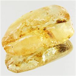 50ct Large Amber Chunk With Inclusions (MIN-001601)