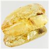 Image 1 : 50ct Large Amber Chunk With Inclusions (MIN-001601)