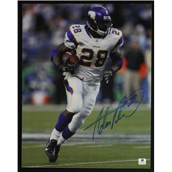 Adrian Peterson Signed Vikings 11x14 Photo (GA)
