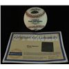 Image 2 : Shane Spencer Signed OML Baseball (Steiner COA)