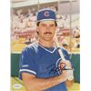 Image 1 : Rafael Palmeiro Signed Cubs 8x10 Photo (JSA)