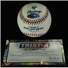 Image 2 : Josh Barfield Signed OML Baseball (Tristar COA)