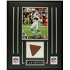 Image 1 : Cam Newton Panthers 16x20 Custom Display with Piece of Football