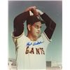 Image 1 : Hoyt Wilhelm Signed Giants 8x10 Photo (PA LOA)