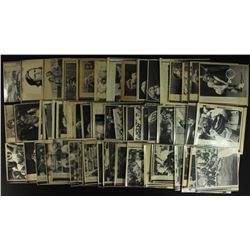 Lot of 90 Vintage 1980s Tennis AP Photos