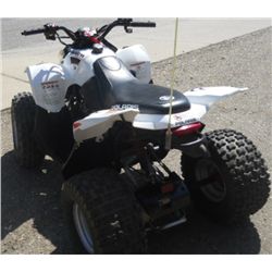2006 Polaris PREDATOR 90